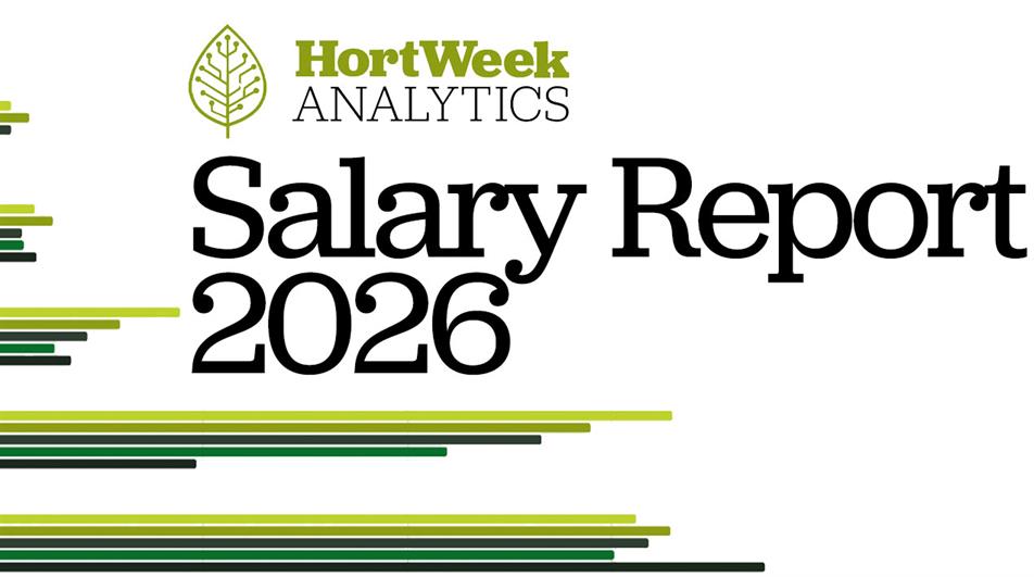 Salary Report 2026
